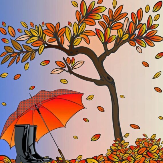 autumn