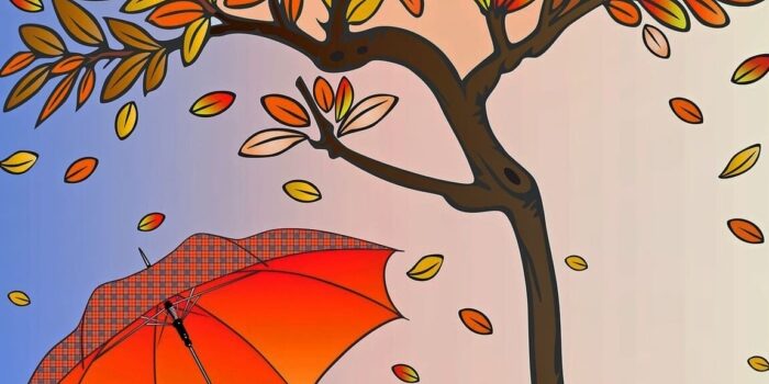 autumn